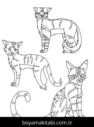 Kedi boyama sayfası – ücretsiz yazdır, boyama etkinliği