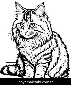 Kedi boyama sayfası, Cat coloring page, , 33)