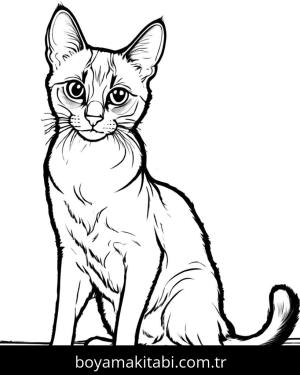 Kedi boyama sayfası, Cat coloring page, , 26)