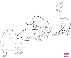 Kedi boyama sayfası, Cat coloring page, , Cats Cats