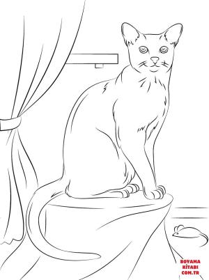 Kedi boyama sayfası, Cat coloring page, , Cats Russian Blue Cat