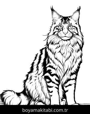 Kedi boyama sayfası, Cat coloring page, , 24)