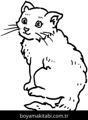 Kedi boyama sayfası – kolay boyama, eğitici aktivite