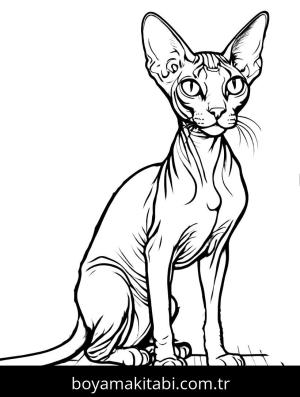 Kedi boyama sayfası, Cat coloring page, , 27)