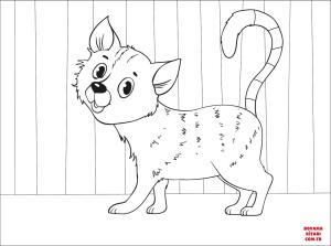 Kedi boyama sayfası, Cat coloring page, , Cats Cat