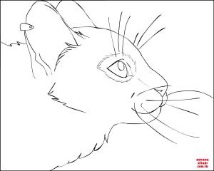 Kedi boyama sayfası, Cat coloring page, , Cats Cat Portrait