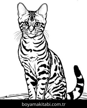 Kedi boyama sayfası, Cat coloring page, , 40)