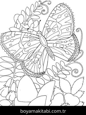 Kelebek boyama sayfası – keyifli zaman, renkli çizimler