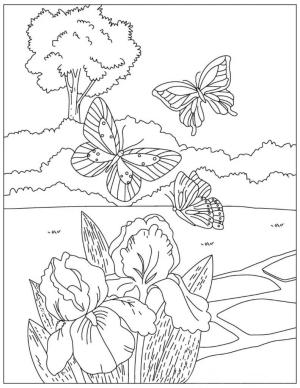 Kelebek boyama sayfası,  coloring page, Çiçekli ve Ağaçlı Üç Kelebek, 