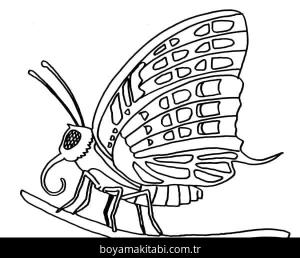Kelebek boyama sayfası – çocuklar için, çizgi film temalı
