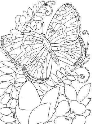 Kelebek boyama sayfası,  coloring page, Çiçekli Temel Kelebek, 