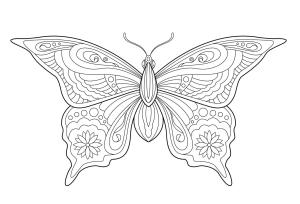 Kelebek boyama sayfası,  coloring page, Kelebek Yetişkin Içindir, 