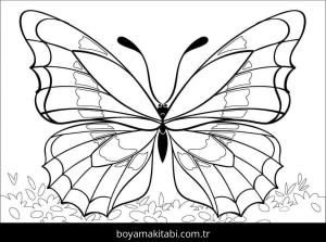 Kelebek boyama sayfası – yaratıcılık, eğlenceli etkinlik