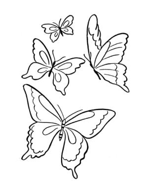 Kelebek boyama sayfası,  coloring page, Dört Kelebekler, 