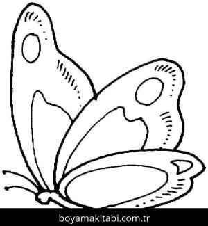 Kelebek boyama sayfası – boyama etkinliği, çocuk aktivitesi