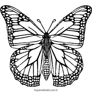 Kelebek boyama sayfası – boyama çalışması, yaratıcılığı geliştirir