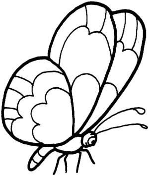 Kelebek boyama sayfası,  coloring page, Kelebek Yazdırılabilir, 