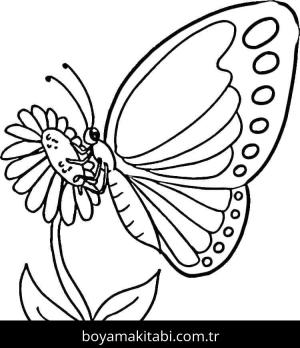 Kelebek boyama sayfası – renkli çizimler, okul öncesi