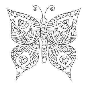 Kelebek boyama sayfası,  coloring page, Inanılmaz Kelebek, 