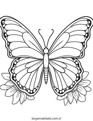Kelebek boyama sayfası – ücretsiz yazdır, boyama etkinliği