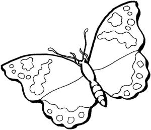 Kelebek boyama sayfası,  coloring page, Güzel Kelebek, 