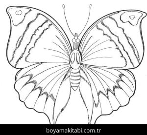 Kelebek boyama sayfası – eğitici aktivite, yaratıcılık