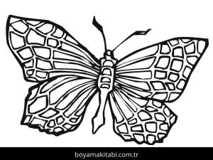 Kelebek boyama sayfası – çizgi film temalı, basit çizim