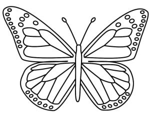 Kelebek boyama sayfası,  coloring page, Kelebek kolay, 