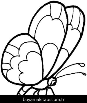 Kelebek boyama sayfası – basit çizim, kolay boyama