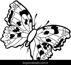 Kelebek boyama sayfası – sanatsal çalışma, çocuklar için