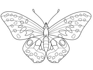 Kelebek boyama sayfası,  coloring page, Güzel Kelebek Ücretsiz Resim, 