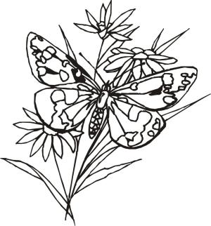 Kelebek boyama sayfası,  coloring page, Çiçekli Bir Kelebek, 