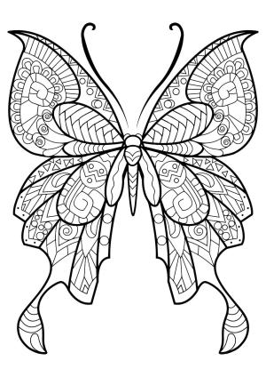 Kelebek boyama sayfası,  coloring page, Zentangle Kelebek, 