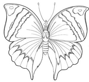 Kelebek boyama sayfası,  coloring page, Bir Kelebek, 