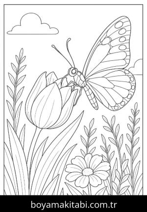Kelebek boyama sayfası,  coloring page, , 17)