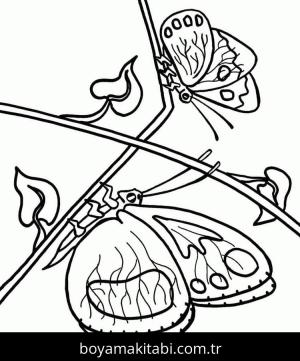 Kelebek boyama sayfası – boyama etkinliği, çocuk aktivitesi