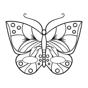 Kelebek boyama sayfası,  coloring page, Ücretsiz Kelebek, 