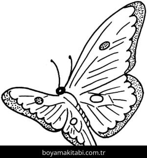 Kelebek boyama sayfası – PDF indir, sevimli karakter