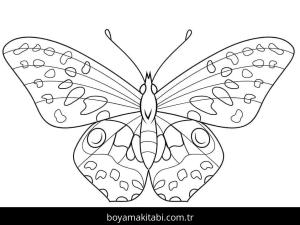 Kelebek boyama sayfası – evde etkinlik, ücretsiz yazdır