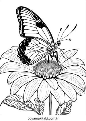 Kelebek boyama sayfası – kolay boyama, eğitici aktivite