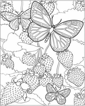 Kelebek boyama sayfası,  coloring page, Kelebekler ve Çilekler, 