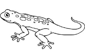 Kertenkele boyama sayfası,  coloring page, Minik iri gözlü iguana, 