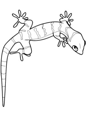 Kertenkele boyama sayfası,  coloring page, Sinsi küçük kertenkele, 