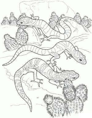 Kertenkele boyama sayfası,  coloring page, Vahşi doğada birçok kertenkele var, 