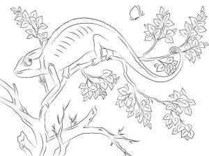 Kertenkele boyama sayfası,  coloring page, Bir iguana ağacın tepesine tırmandı, 