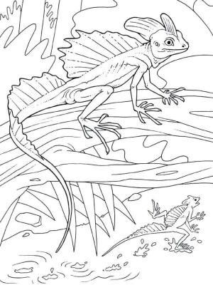 Kertenkele boyama sayfası,  coloring page, Büyük pençeleri olan uçan kertenkele, 