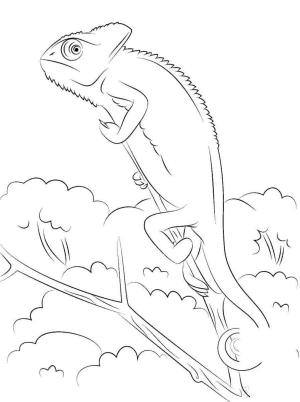 Kertenkele boyama sayfası,  coloring page, İguana bir dala tırmandı., 