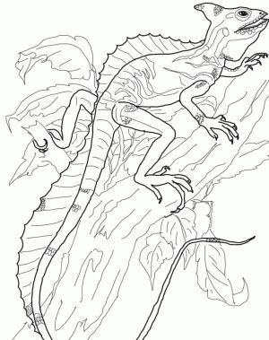 Kertenkele boyama sayfası,  coloring page, Ağaçta olağanüstü kertenkele, 