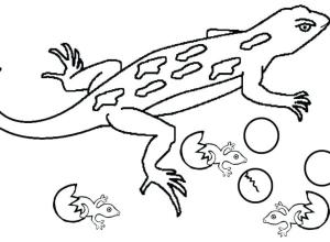 Kertenkele boyama sayfası,  coloring page, Yumurtadan çıkan birçok küçük kertenkele, 