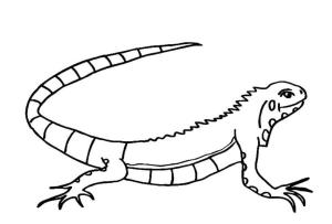 Kertenkele boyama sayfası,  coloring page, Bir iguana yüzünde bir gülümseme ile, 